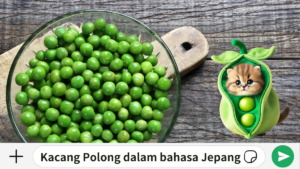 Kacang Polong dalam bahasa Jepang